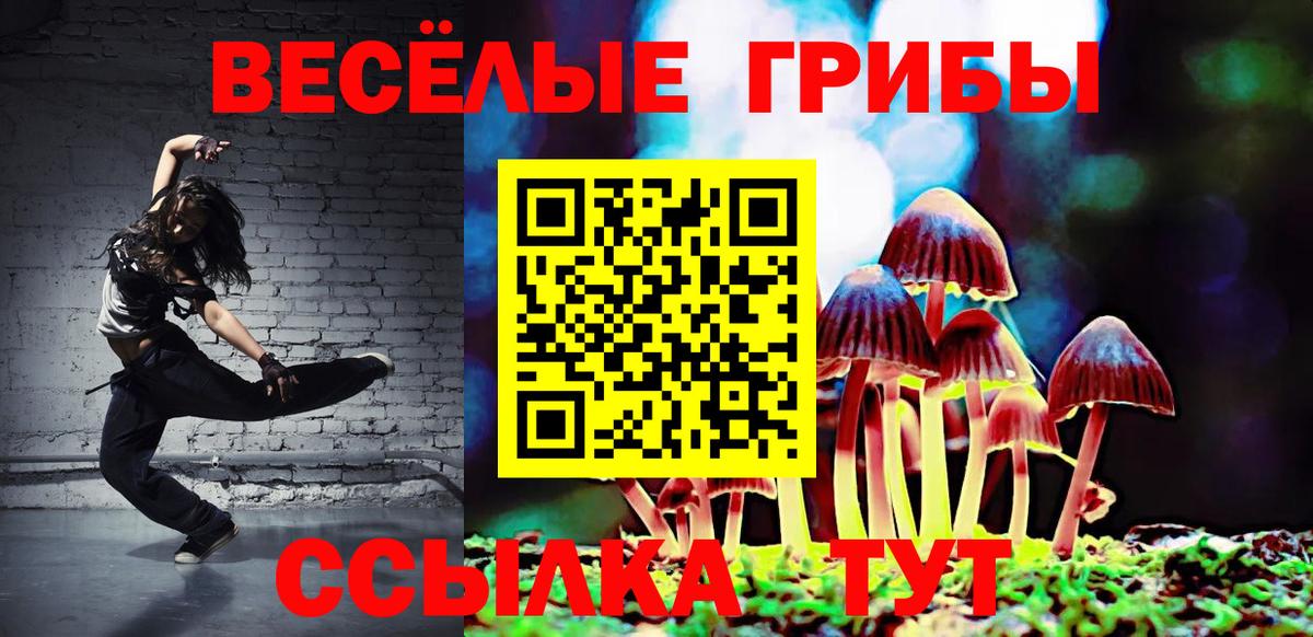 Псилоцибиновые грибы прущие грибы Верхняя Салда
