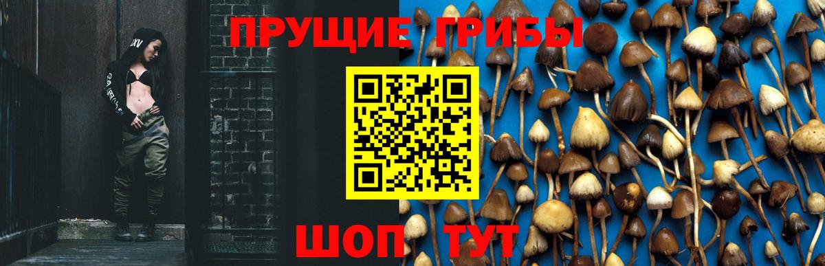 Верхняя Салда  Псилоцибиновые грибы Psilocybine cubensis  Вход с VPN  Галлюциногенные грибы Cubensis 